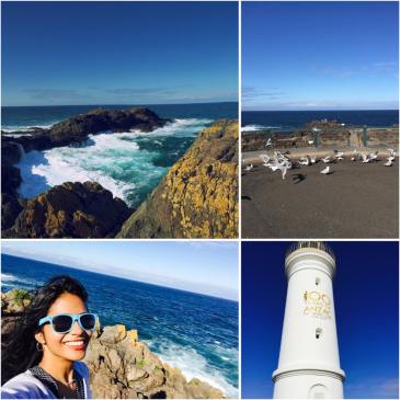 12165953_10153108012862477_1796420883_n